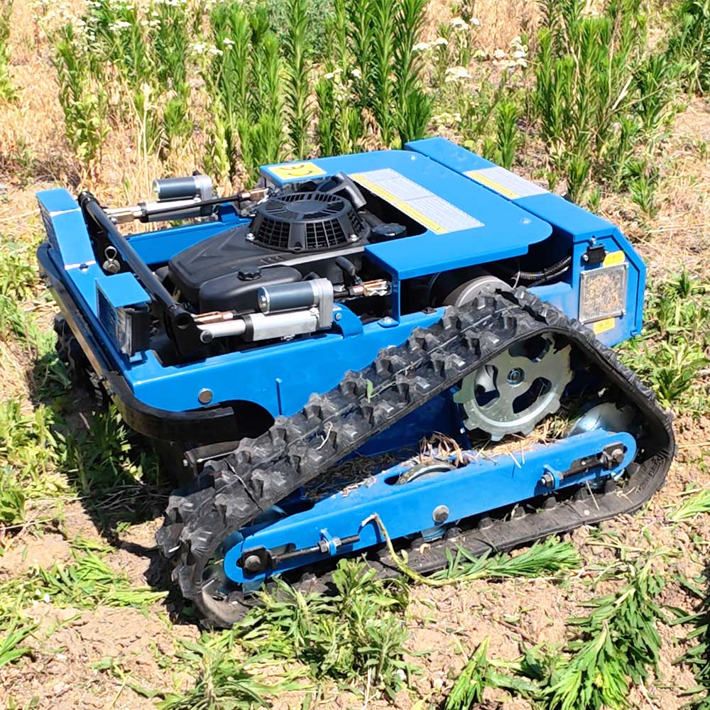 Self-Propelled Lawn Mower