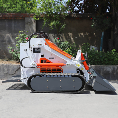 Biggest skid steer