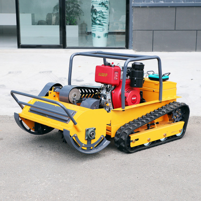 Self propelled petrol lawnmower