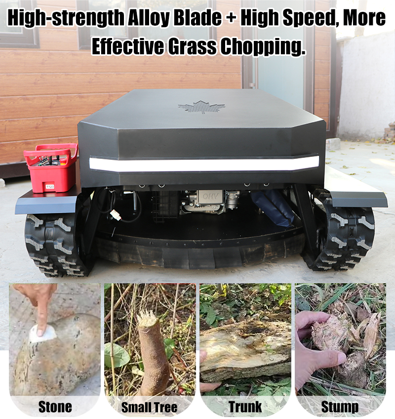 Multi-purpose Lawn Mower.jpg