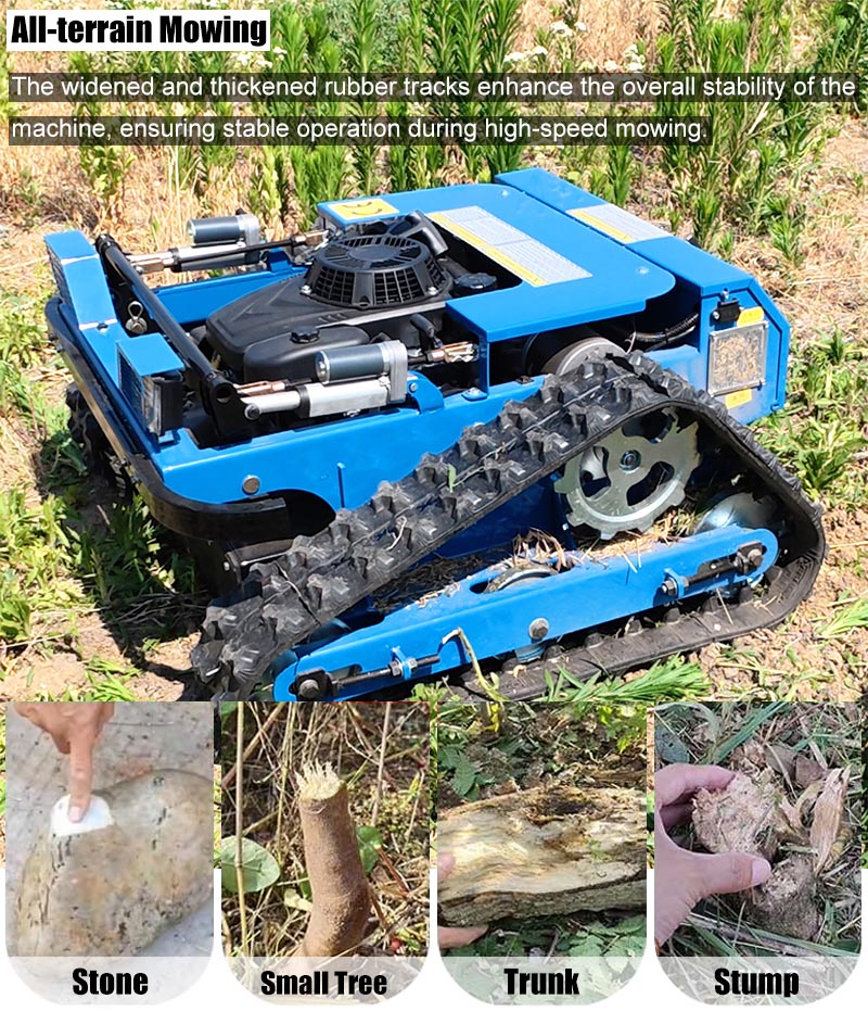 Self-Propelled Lawn Mower.jpg