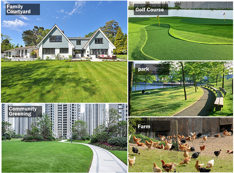 Riding Lawn Mower.jpg